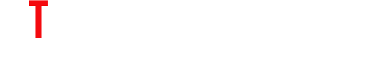 チームの特徴